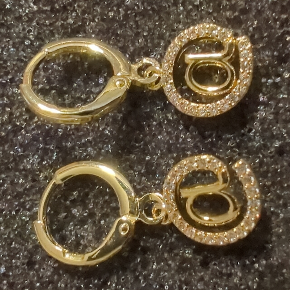 @ earrings NWT